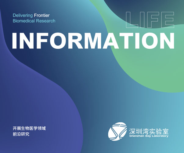 锁具品牌VI设计：以视觉传递安全与靠谱
