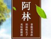 阿林瓜子